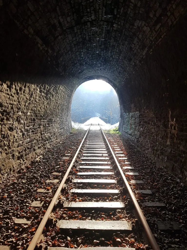 Das Bild zeigt Eisenbahnschienen, die von dunkel nach hell durch einen Tunnel führen.