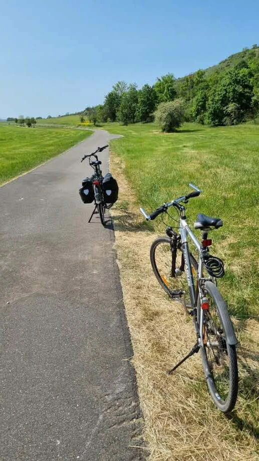 Zwei Fahrräder stehen am Rand eines Radweges in der Landschaft. Außerdem im Bild: Bäume, Sträucher und blauer, wolkenloser Himmel.