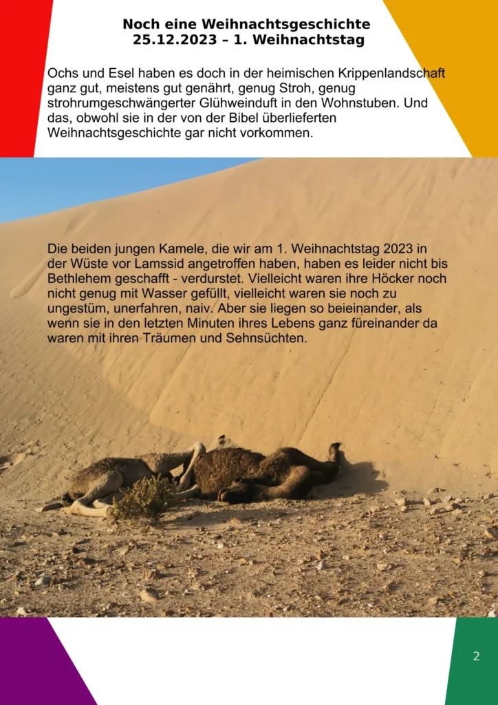 Tote Kamele in der Wüste